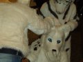DSCF2631.JPG